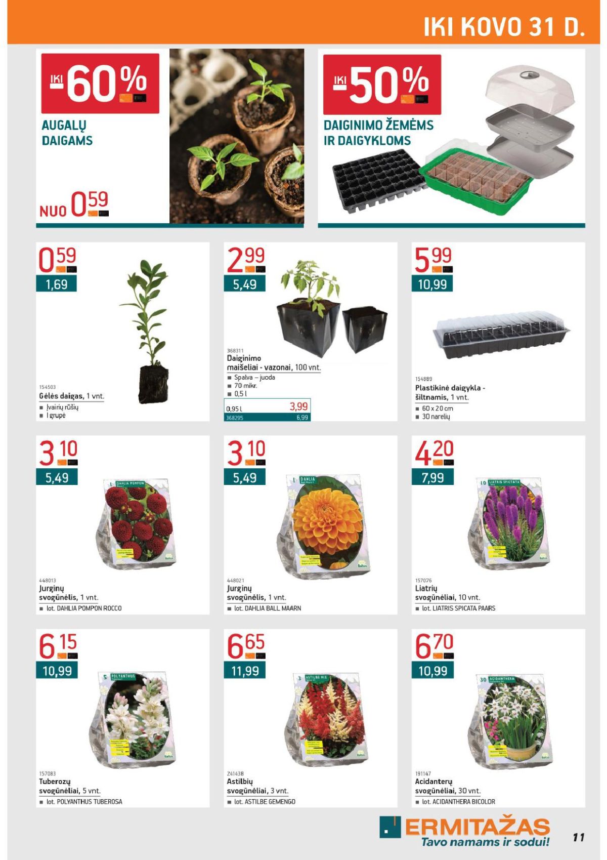 ERMITAŽAS (2026 03 02 - 2026 03 31) | 11