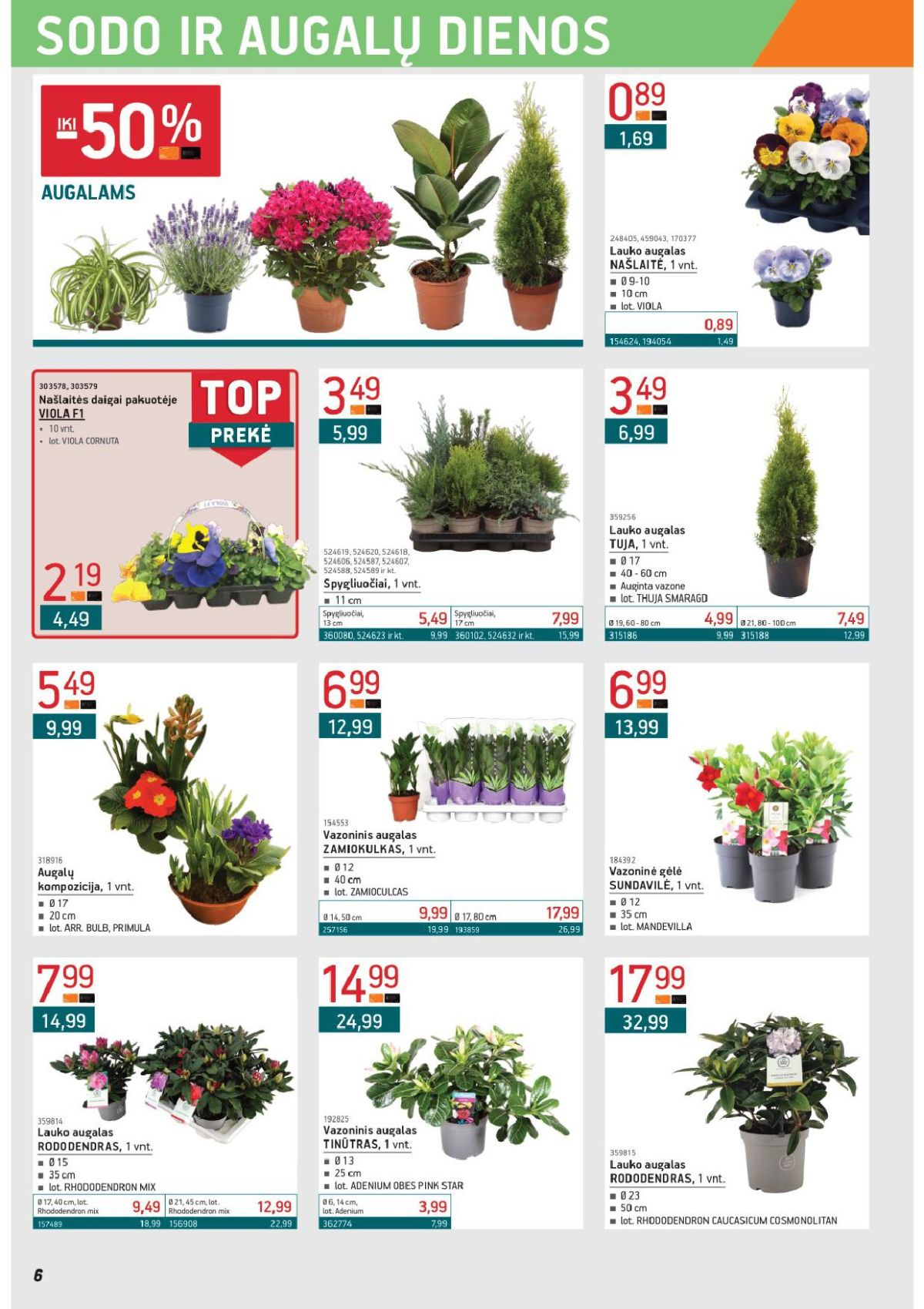 ERMITAŽAS (2026 03 02 - 2026 03 31) | 6